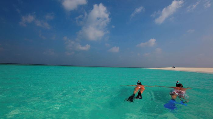 Maldiverne Soneva Fushi Sandbank Snorkel