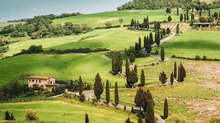 Italien Toscana Landskab  med huse 