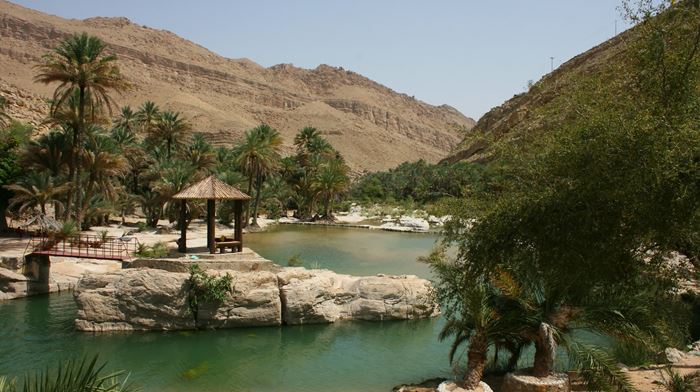 Oman Water Pool Ved Wadi Bani Khalid