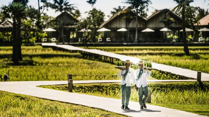 Cambodia, Siem Reap, Zannier Hotels Phum Baitang, Garden and grounds