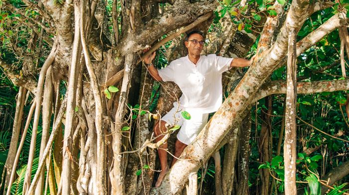 Maldiverne Sonu Shivdasani I Træ