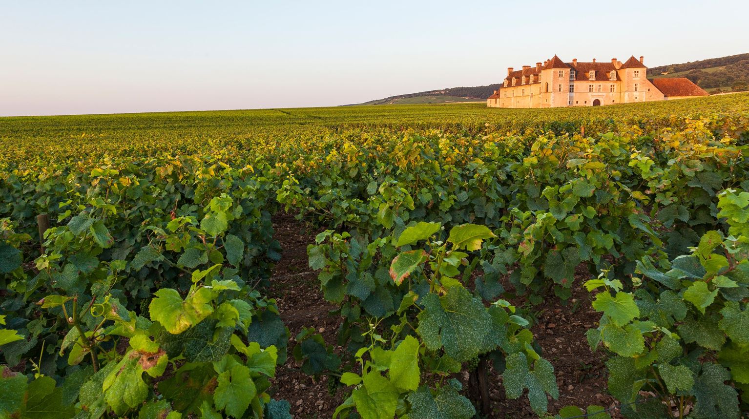 Frankrig Bourgogne Clos De Vougeot Vinslot
