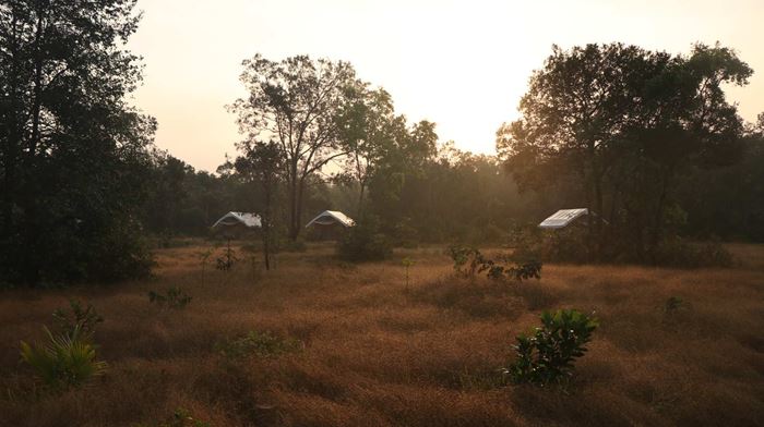 Cambodia, Cardamom Mountains, Cardamom Tented Camp, Morgen udsigt