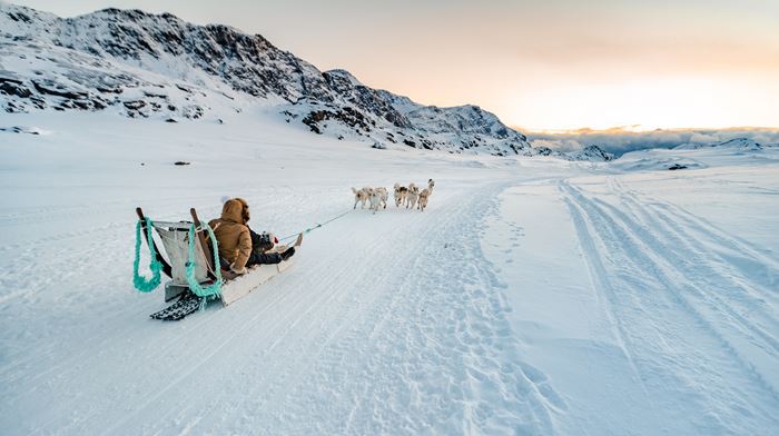 rejser til Grønland, hundeslædetur, slædehunde, Sisimiut