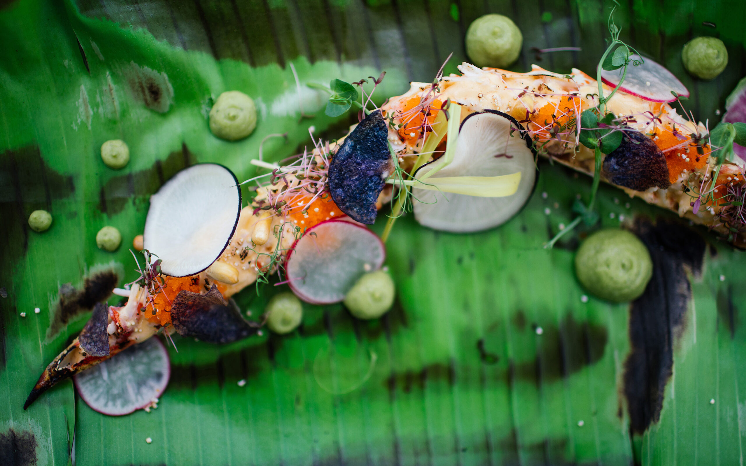 Mexico Tulum Hotel Esencia Restaurant Mistura Lobster