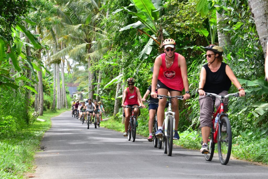 Indonesien, Bali, Cykeltur, Udflugt, Aktivitet