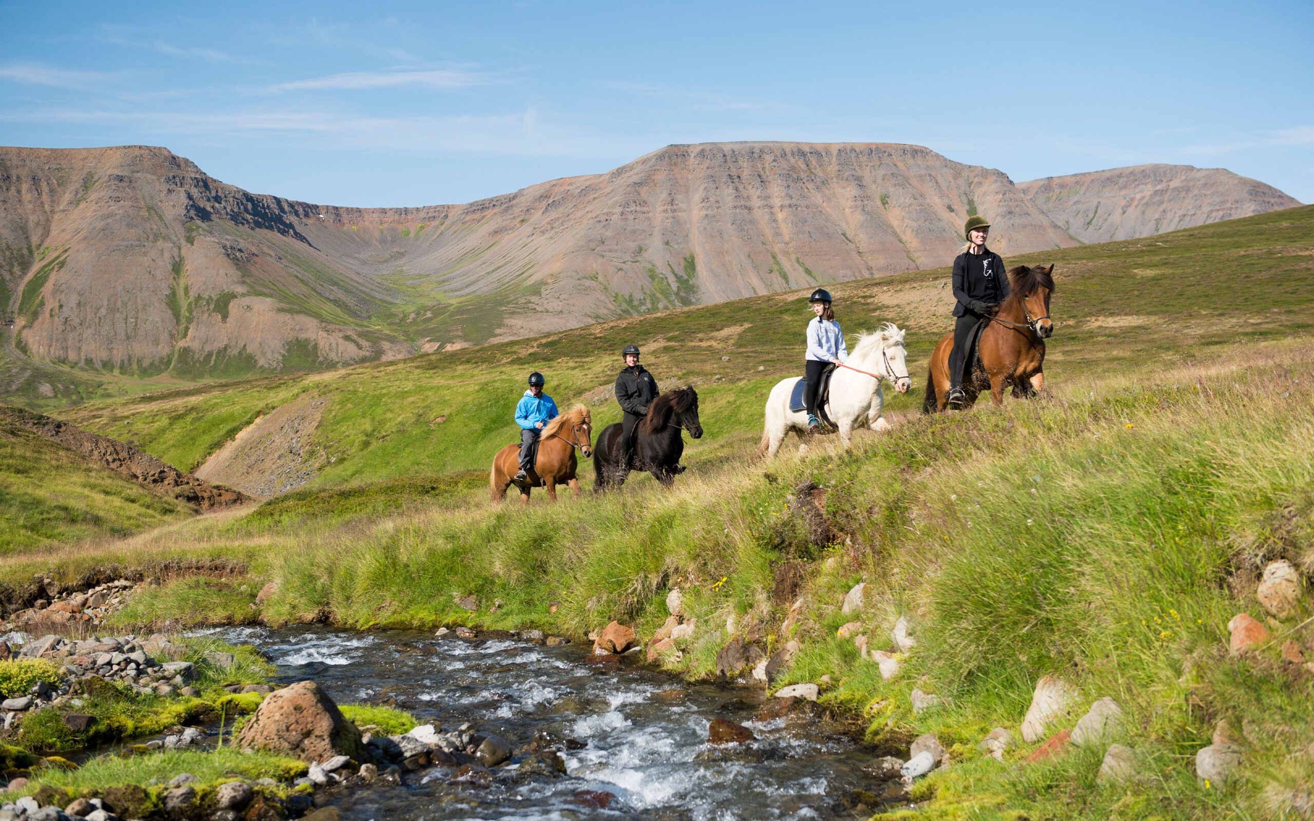 Island Deplar Farm Aktivitet Horseback