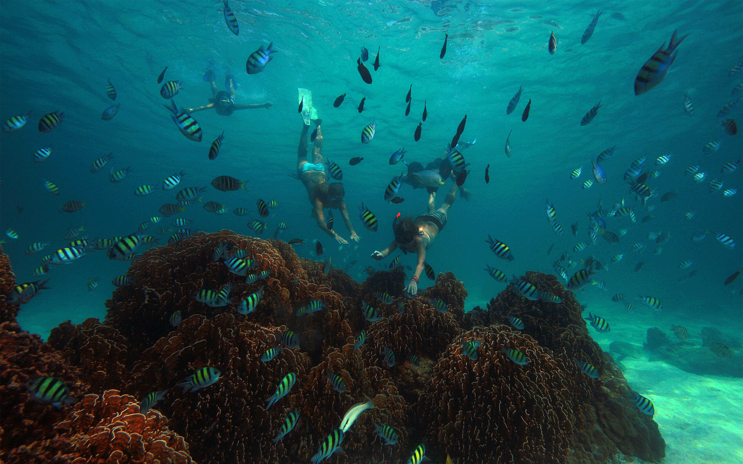 Thailand Koh Kood Soneva Kiri Snorkling
