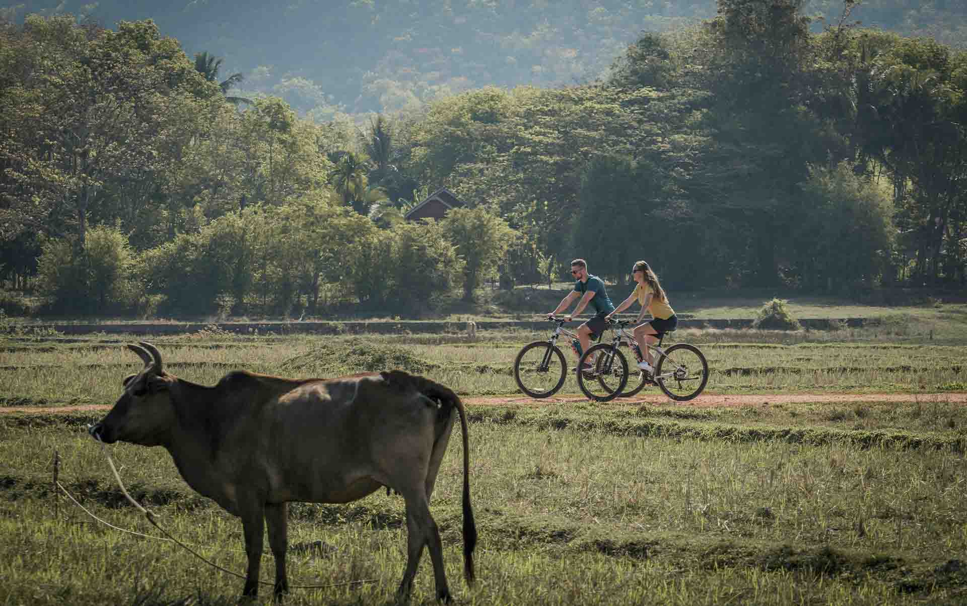 Thailand, Koh Yao Noi, Six Senses Yao Noi, Cykel Udflugt