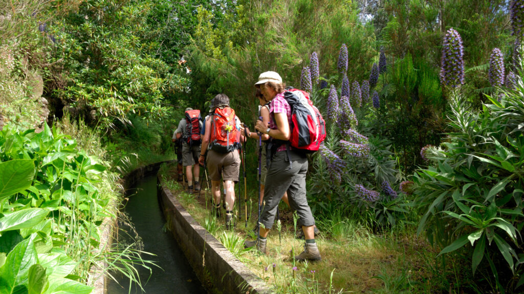 Madeira Levada Vandring
